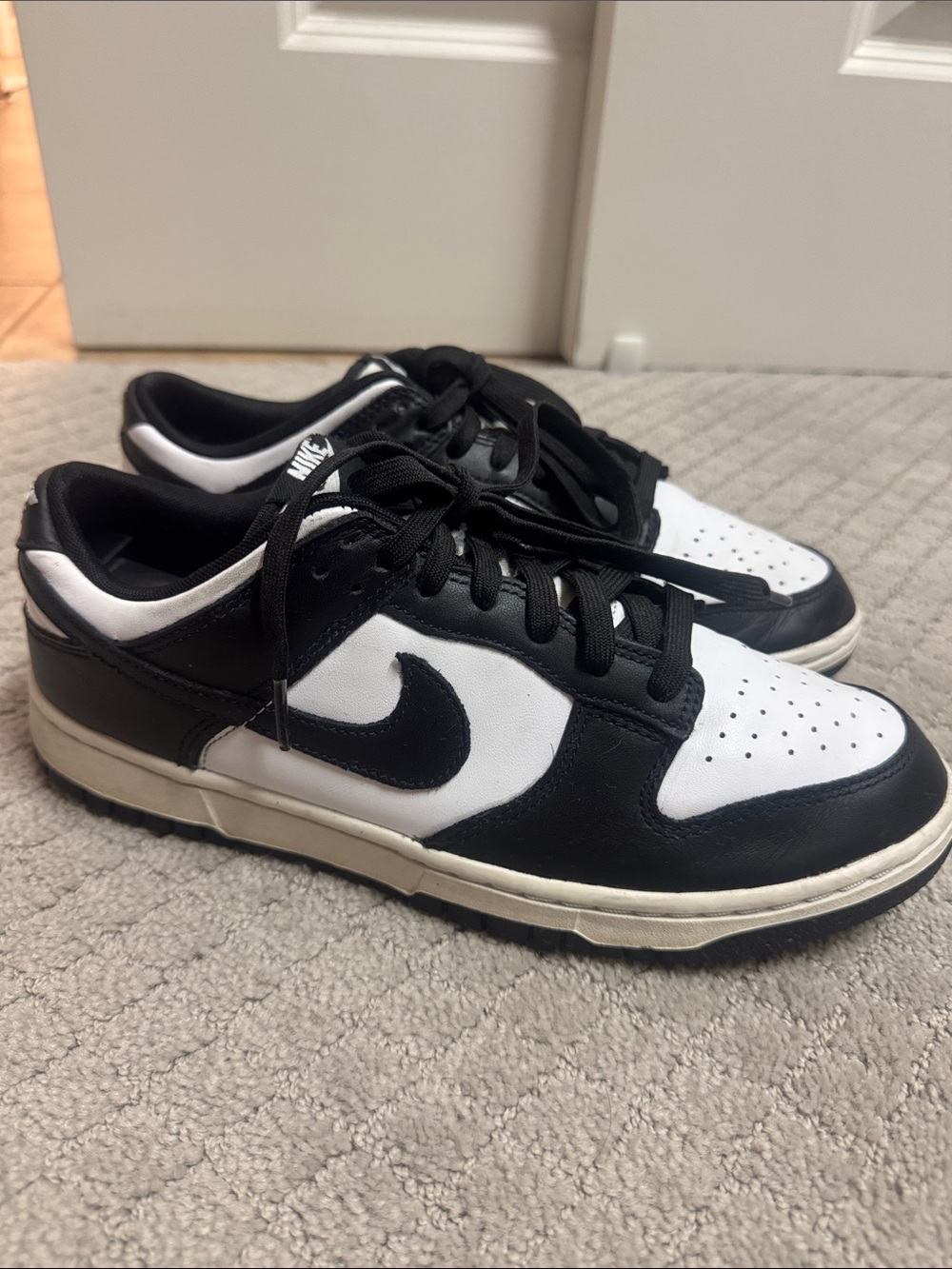 Nike Dunk Low Retro DD1391-100